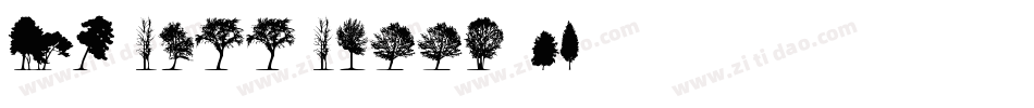 CK Tall Trees 1字体转换
